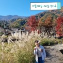 지리산생태체험단지 | 10일~14일 식기록] 낙엽지면 친구가 돼 줄게~ 내 손을 잡고 걸어가면 돼. 함양지리산생태체험단지 단풍구경