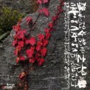 서예&캘리 이미지