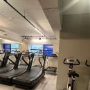 토니바디 휘트니스 이미지