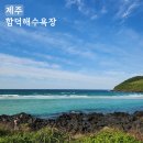 돈까스송쉡 제주 함덕해수욕장과 주변 맛집 <b>돈까스송쉡</b> 후기