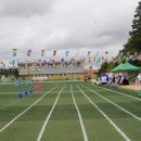 아침해유치원 이미지