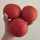 우연농장 이미지