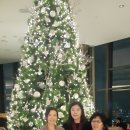 목동정문약국 이미지