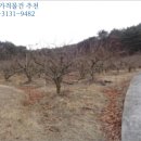 상천리-2 이미지