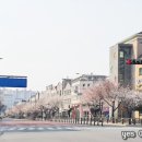 예스 공인중개사 사무소 이미지