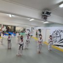 화이트 타이거 태권도 이미지