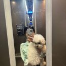 펫타리움 청담점 이미지