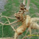 삼삼농장 이미지