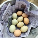 열음농장 이미지