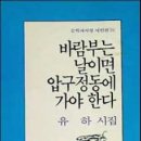 NR-21[충무로]-하-86 | 유 하- 『바람부는 날이면 압구정동에 가야 한다』