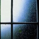 하얀노을 이미지