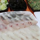 수호성횟집 | 수호성횟집 죽변항횟집 울진 맛집 추천~!!