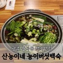 산능이네능이버섯백숙 | 광주 월곡동 맛집 산능이네 능이버섯 백숙 몸보신 후기