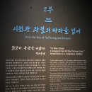국립전사박물관 | 서울 용산 국립중앙박물관 특별전시 우리들의 이순신 관람후기 (~26.03.03)