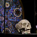 내포우리약국 | 허스트(Damien Hirst): 진실은 없어 그러나 모든 것은 가능하지', 국립현대미술관 서울관 관람 후기