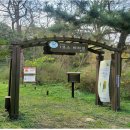 바다바라길 이미지