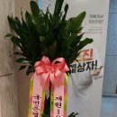 더세움병원 이미지