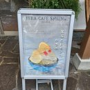 카페테라(Cafe tera) 이미지