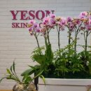 예손피부 이미지