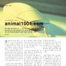 류상미 이미지