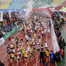 낙동강변10 이미지