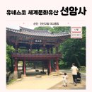 천산해 | 유네스코 세계문화유산 천년고찰 태고총림 선암사 탐방기