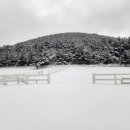 산기슭목장 이미지