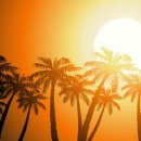 코커스101 이미지