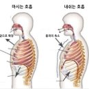 휘연필라테스 네이버블로그