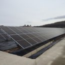 화창 태양광발전소 이미지