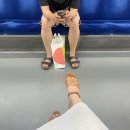 크라운호프영월점 | [23.07.22.~31.] 7월의 마지막