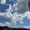 신장로조경