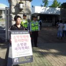 김효금 Daum카페