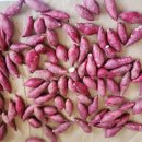 민정농장 이미지