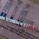성북구 보건소 | 2025년 04월 성북구 보건소 임산부 등록 솔직후기