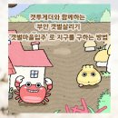 갯 마을 | 갯투게더와 함께하는 부안 갯벌살리기, ‘갯벌마을입주’로 지구를 구하는 방법
