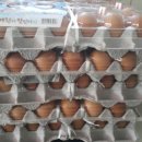 다둥이 축산 이미지