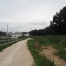여주-0196 Daum카페