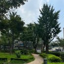 먹적골어린이공원 이미지