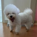 병점중학교 | [독학]2025년 7월 JLPT N1 : 체감난이도 및 가채점 ｜병점중학교 후기(feat.일본어 학습자 공개모집)