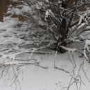 우장산공원 이미지