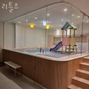 리틀즈 네이버블로그