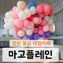 양산 물금 대형카페 마고플레인 방문 후기
