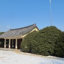 나무여행 이미지