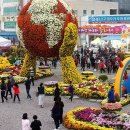 완월동136 이미지