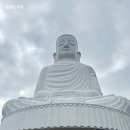 골든루트로 | 다낭 바나힐 골든브릿지 후기 1탄｜케이블카 이동 루트·체력 난이도 솔직 정리