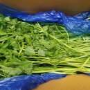 동곡동행정복지센터 이미지