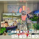 에스엠(SM)