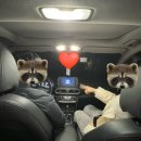 내가하는세차마을 | 헤이딜러 중고차 내돈내산 실구매후기🚗 / 믿고 사는 헤이딜러?