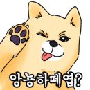 또또 공작소